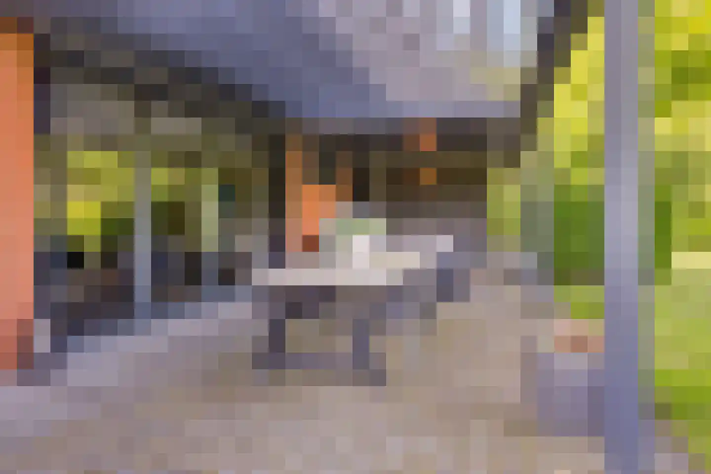 Woestijnestraat 3 Clinge thumbnail 59