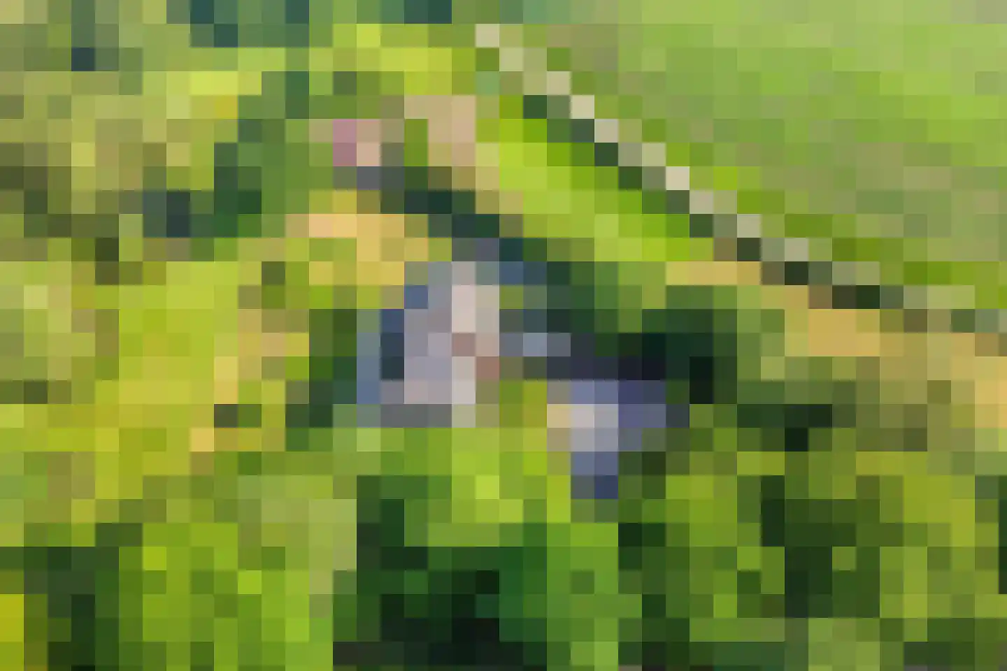 Woestijnestraat 3 Clinge thumbnail 6