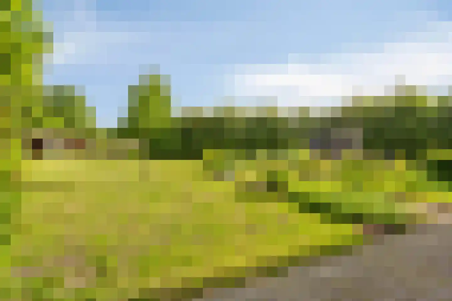 Woestijnestraat 3 Clinge thumbnail 60