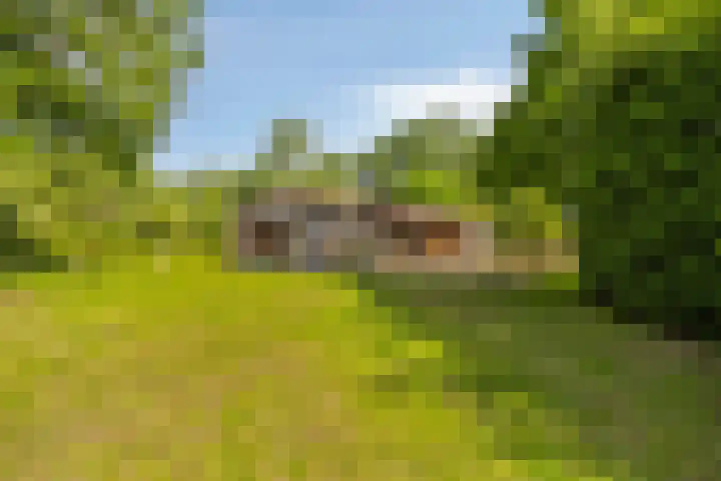 Woestijnestraat 3 Clinge thumbnail 61