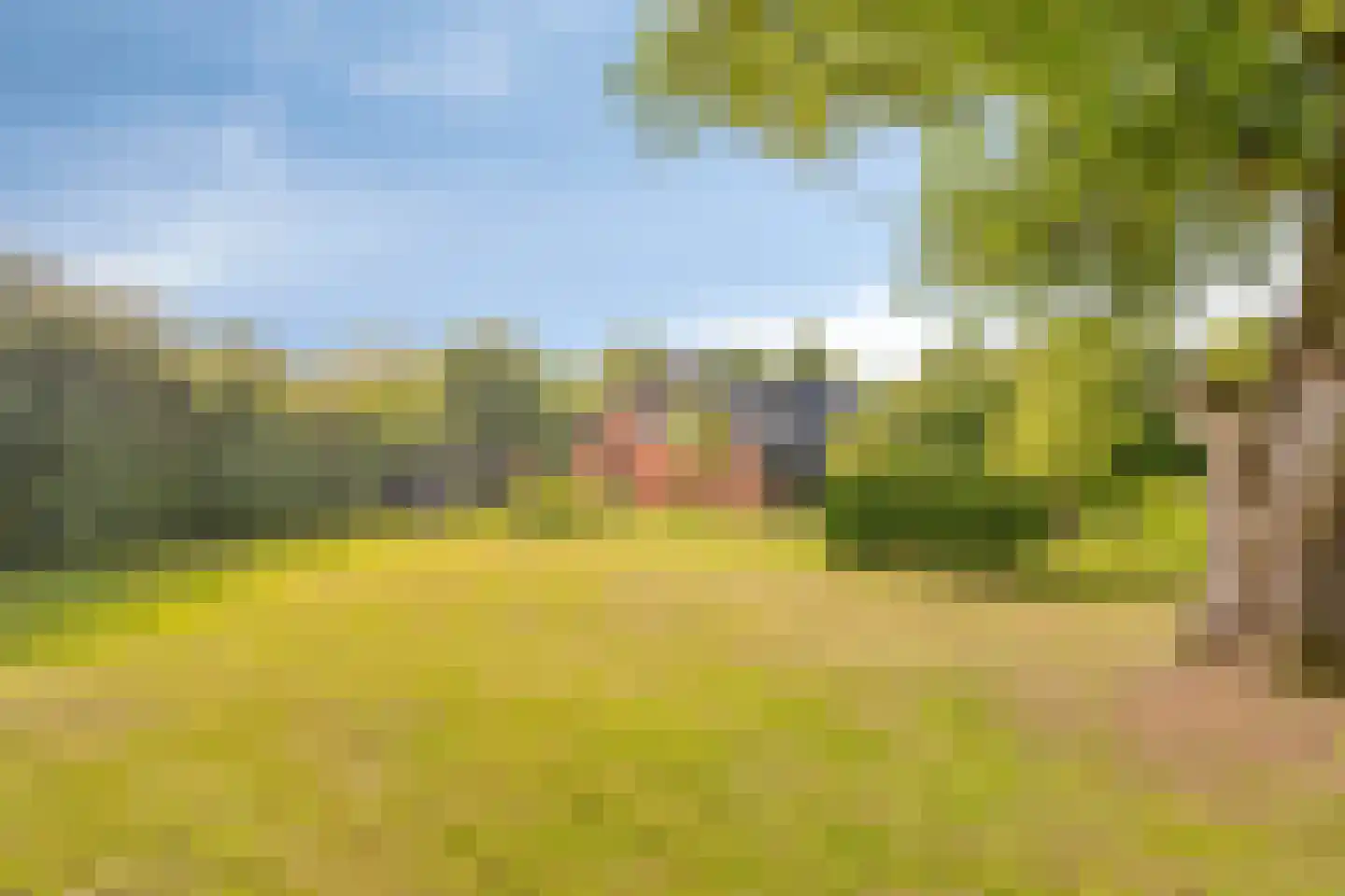 Woestijnestraat 3 Clinge thumbnail 62
