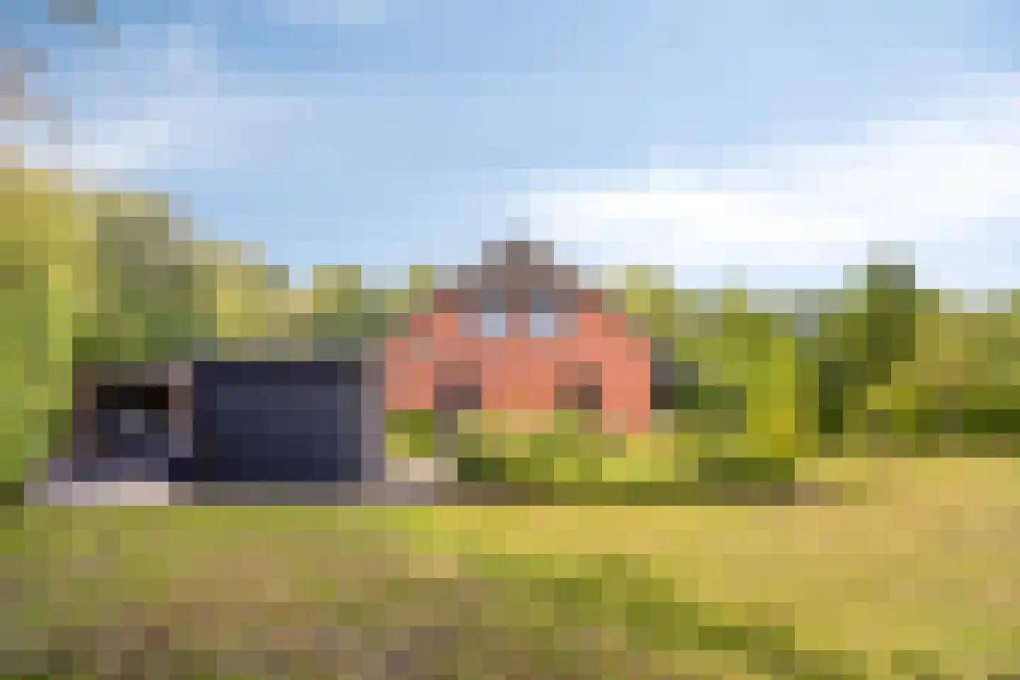 Woestijnestraat 3 Clinge thumbnail 63