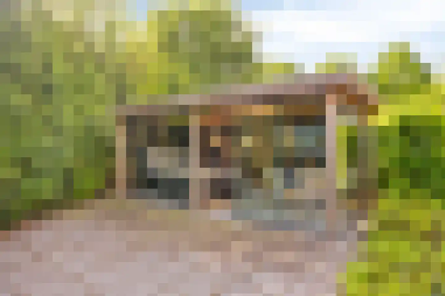 Woestijnestraat 3 Clinge thumbnail 64