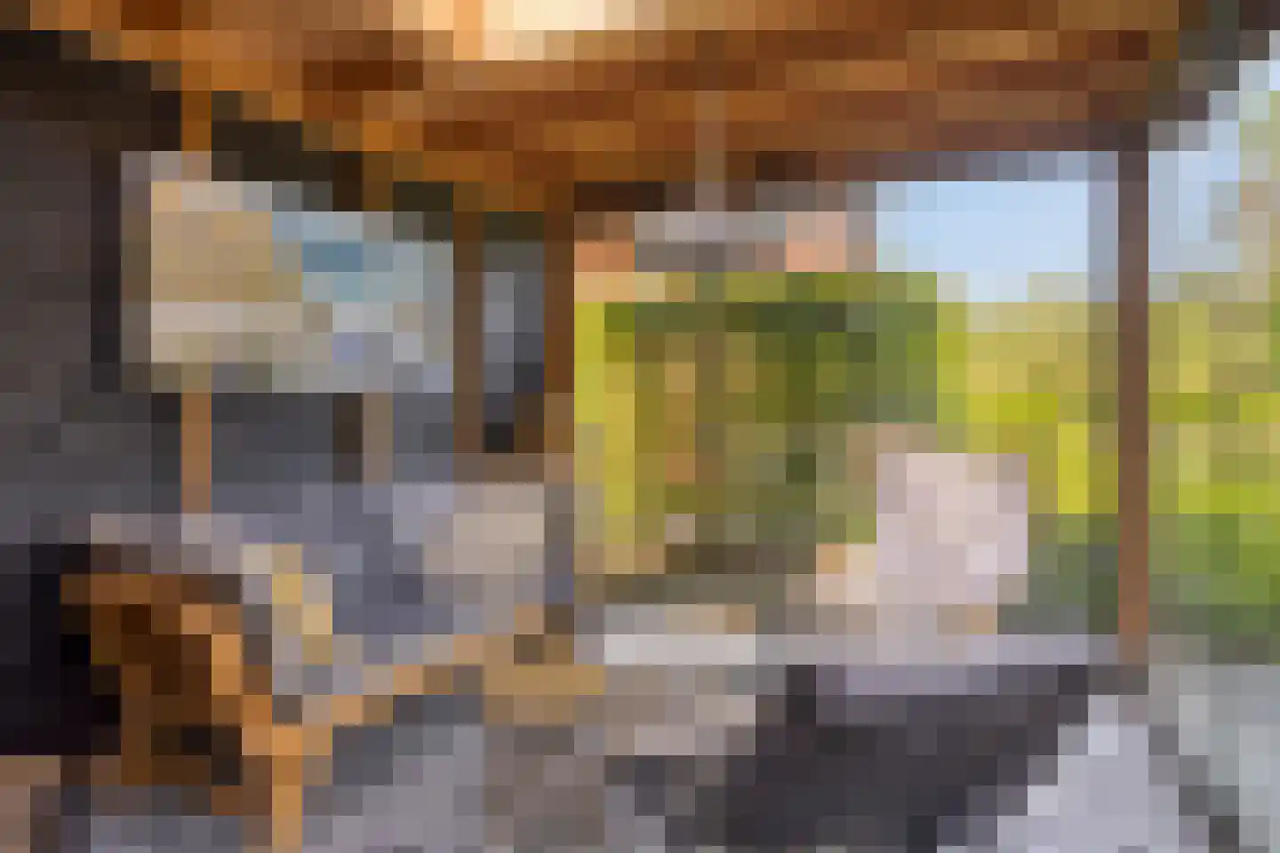 Woestijnestraat 3 Clinge thumbnail 65