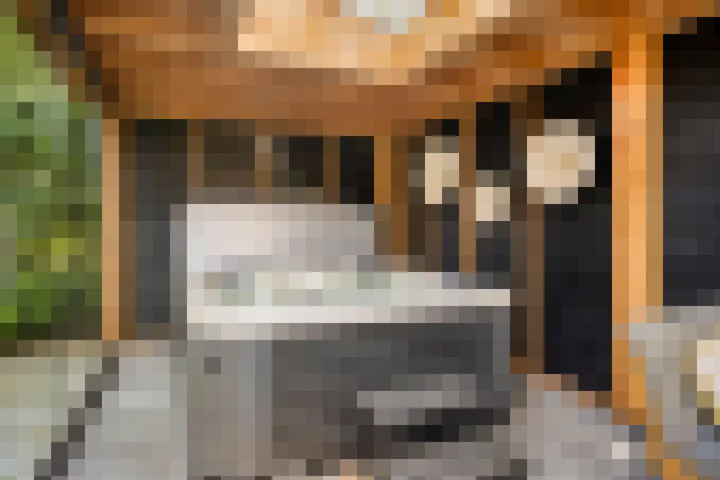 Woestijnestraat 3 Clinge thumbnail 66