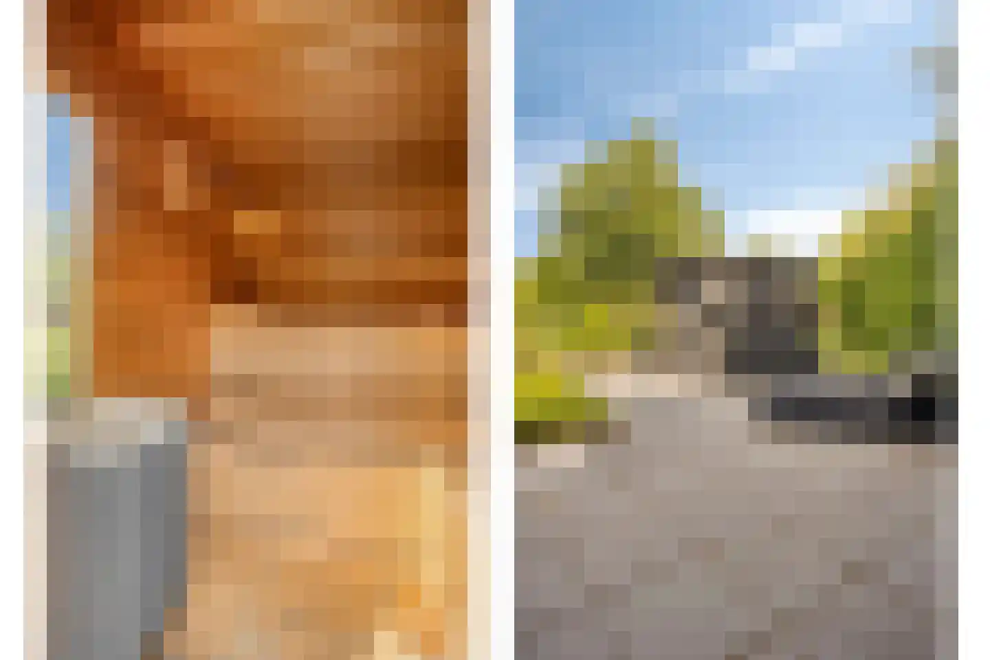 Woestijnestraat 3 Clinge thumbnail 67