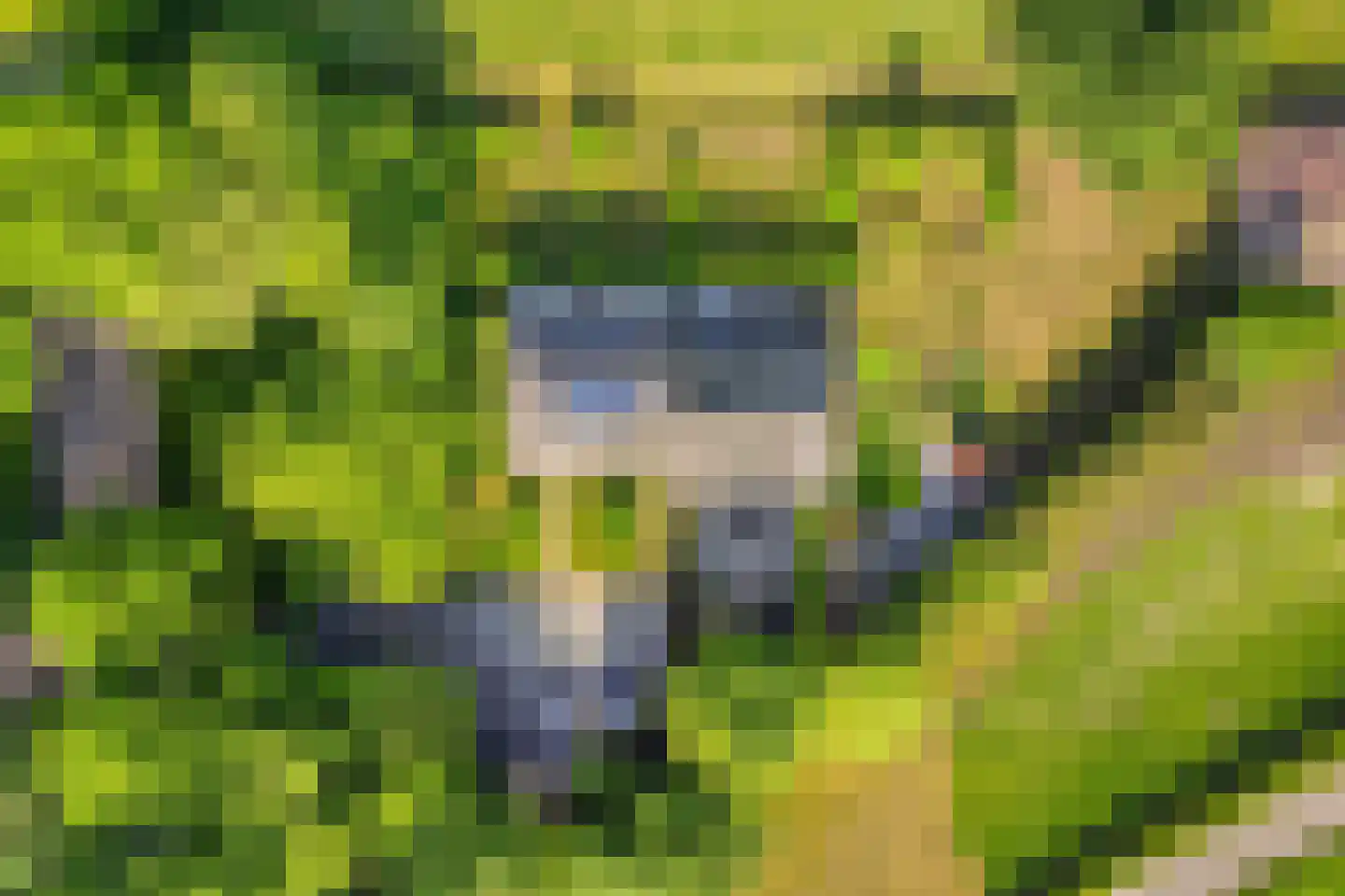 Woestijnestraat 3 Clinge thumbnail 68