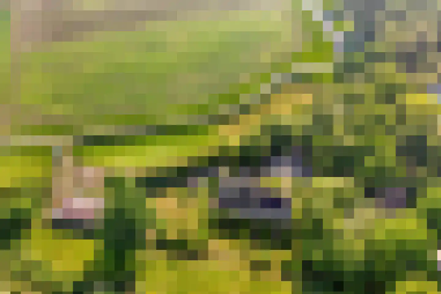 Woestijnestraat 3 Clinge thumbnail 69
