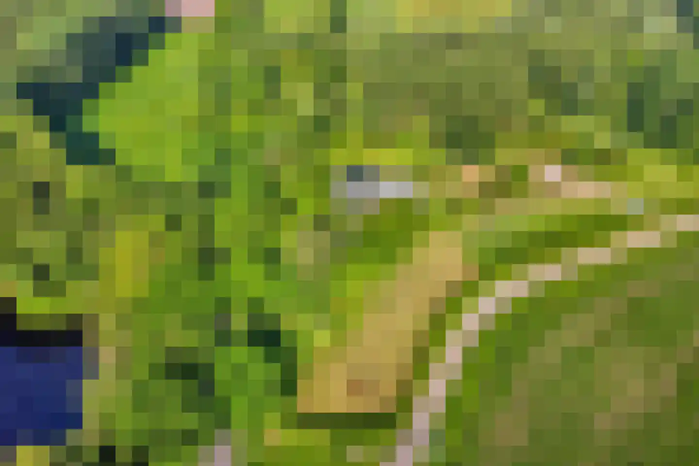 Woestijnestraat 3 Clinge thumbnail 7