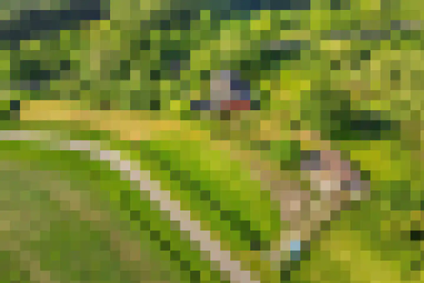 Woestijnestraat 3 Clinge thumbnail 70