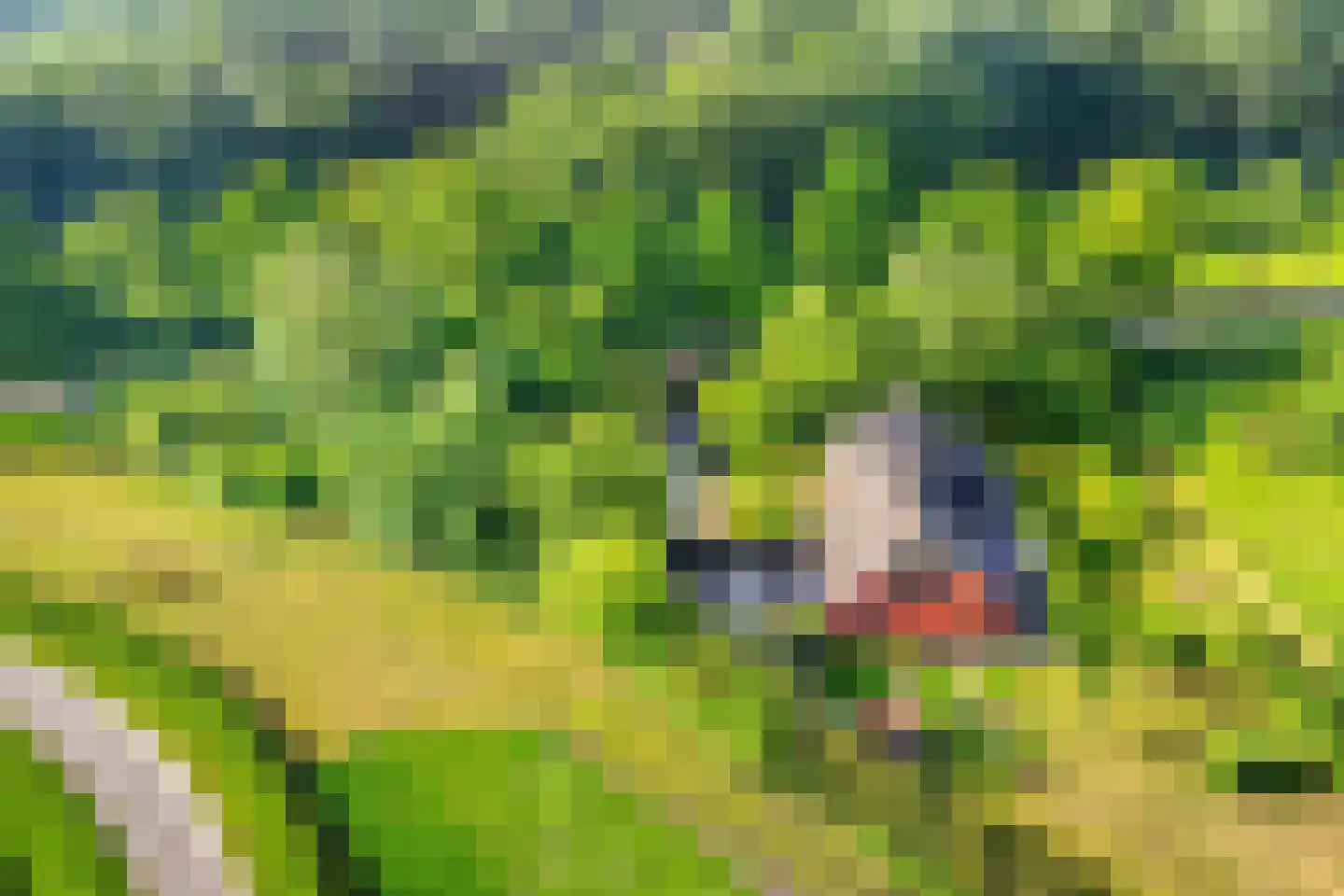 Woestijnestraat 3 Clinge thumbnail 71