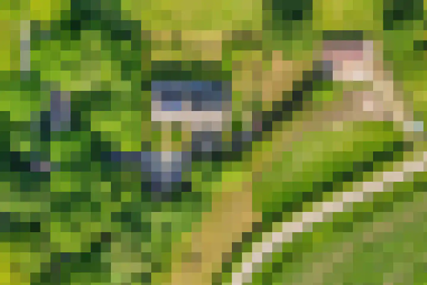 Woestijnestraat 3 Clinge thumbnail 8