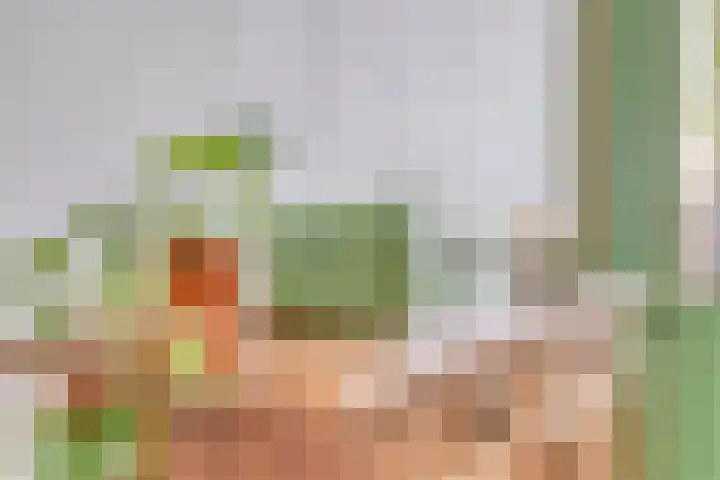Woestijnstraat 4 Purmerend thumbnail 15