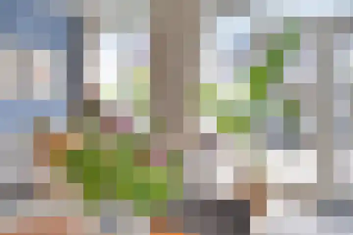 Woestijnstraat 4 Purmerend thumbnail 16