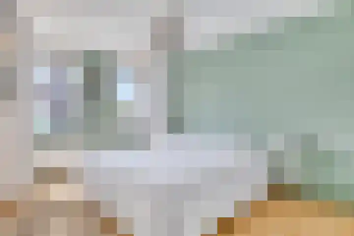 Woestijnstraat 4 Purmerend thumbnail 20