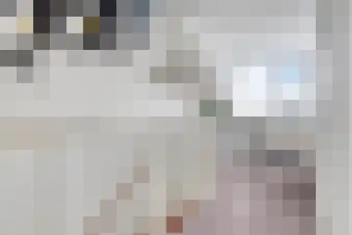 Woestijnstraat 4 Purmerend thumbnail 27