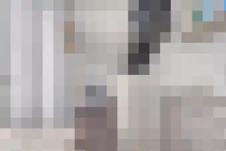 Woestijnstraat 4 Purmerend thumbnail 28