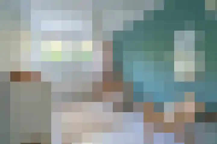 Woestijnvalk 11 Valkenburg thumbnail 12