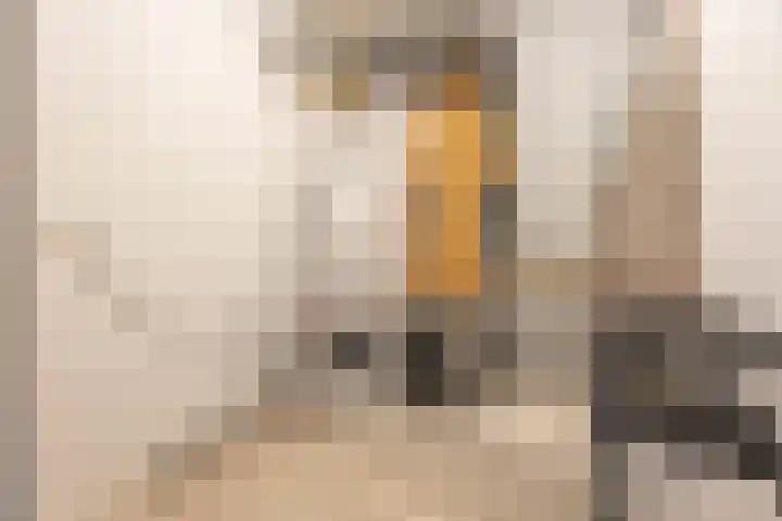 Woestijnvalk 11 Valkenburg thumbnail 18