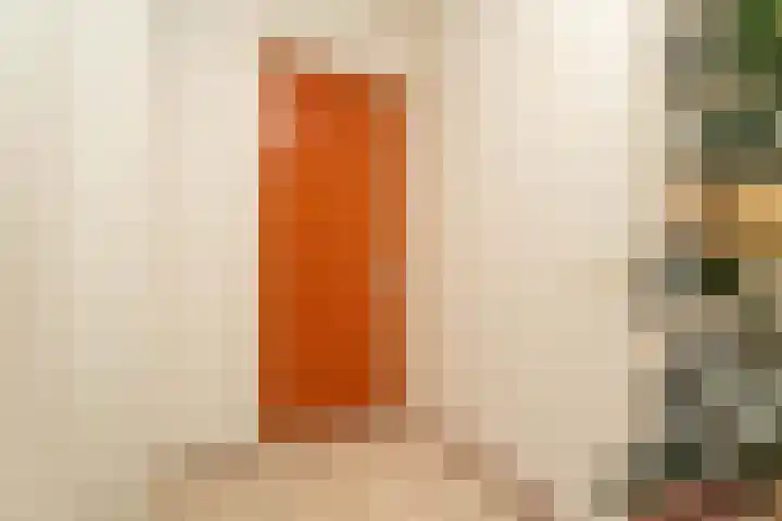 Woestijnvalk 11 Valkenburg thumbnail 20