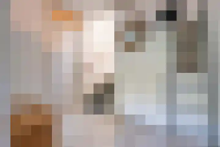 Woestijnvalk 11 Valkenburg thumbnail 21