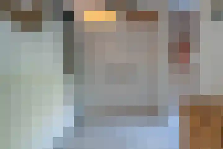 Woestijnvalk 11 Valkenburg thumbnail 22