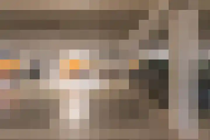 Woestijnvalk 11 Valkenburg thumbnail 25