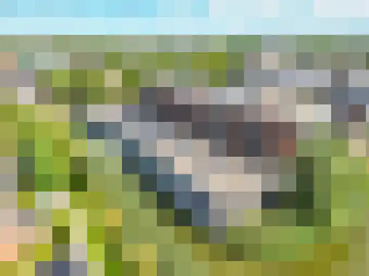 Woestijnvalk 11 Valkenburg thumbnail 30