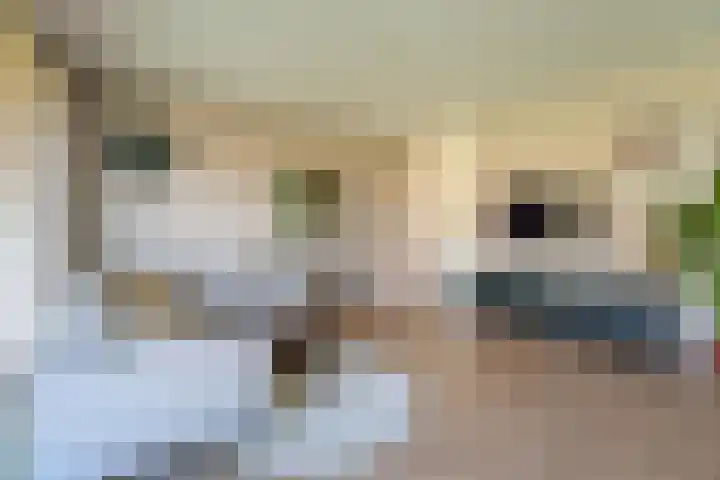 Woestijnvalk 11 Valkenburg thumbnail 4