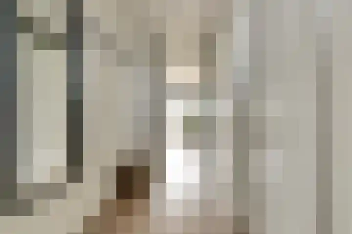 Woestijnvalk 14 Valkenburg thumbnail 11