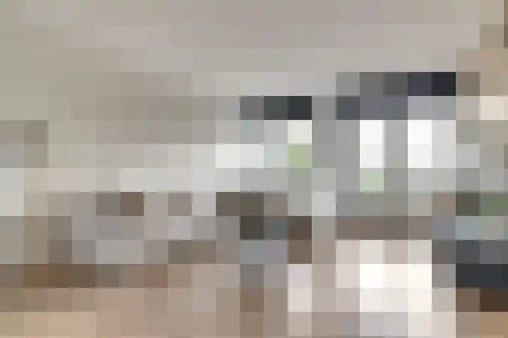 Woestijnvalk 14 Valkenburg thumbnail 13