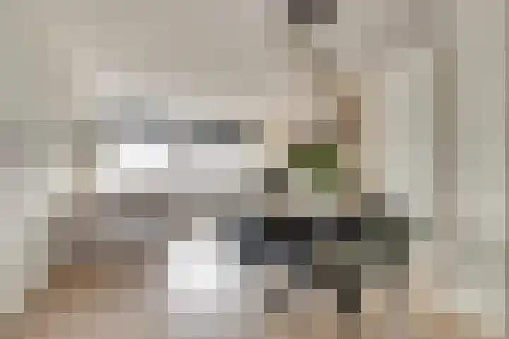 Woestijnvalk 14 Valkenburg thumbnail 15
