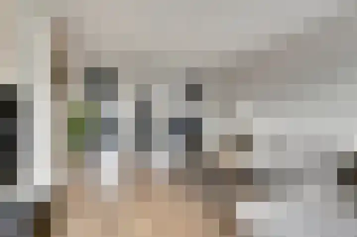 Woestijnvalk 14 Valkenburg thumbnail 16