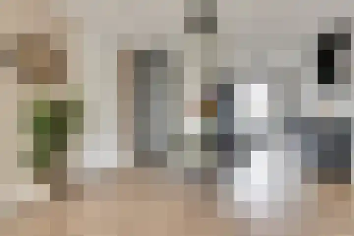 Woestijnvalk 14 Valkenburg thumbnail 17