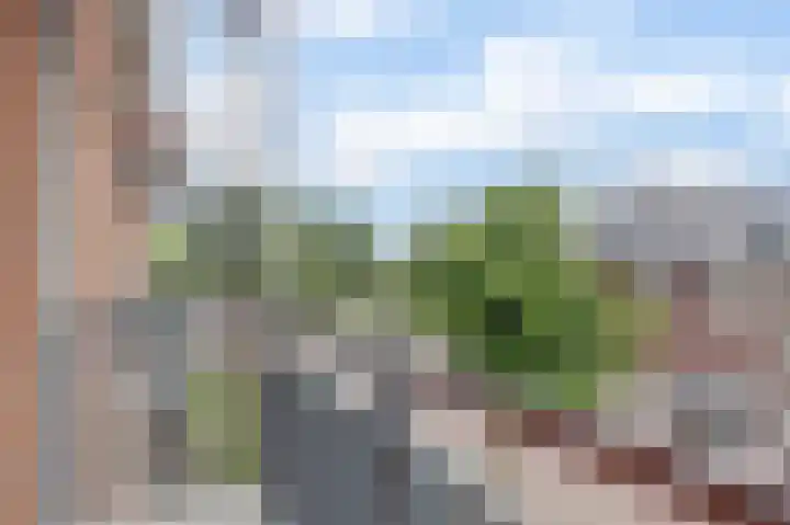 Woestijnvalk 14 Valkenburg thumbnail 18