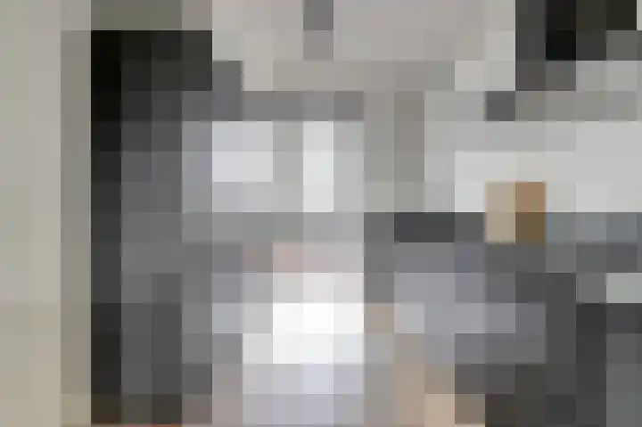 Woestijnvalk 14 Valkenburg thumbnail 21