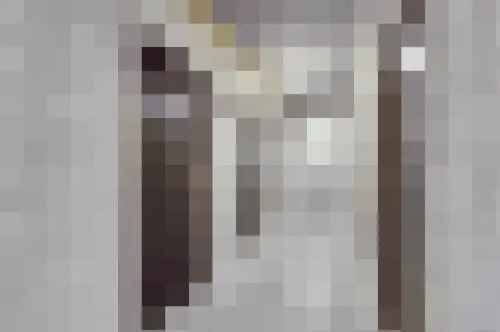 Woestijnvalk 14 Valkenburg thumbnail 30