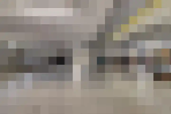 Woestijnvalk 14 Valkenburg thumbnail 31