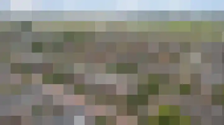 Woestijnvalk 14 Valkenburg thumbnail 36