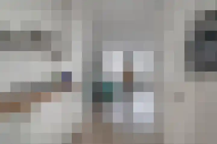 Woestijnvalk 16 Valkenburg thumbnail 15