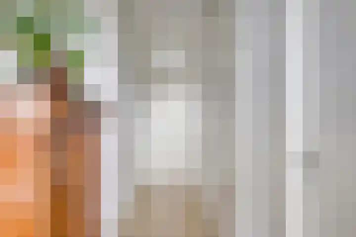 Woestijnvalk 16 Valkenburg thumbnail 16