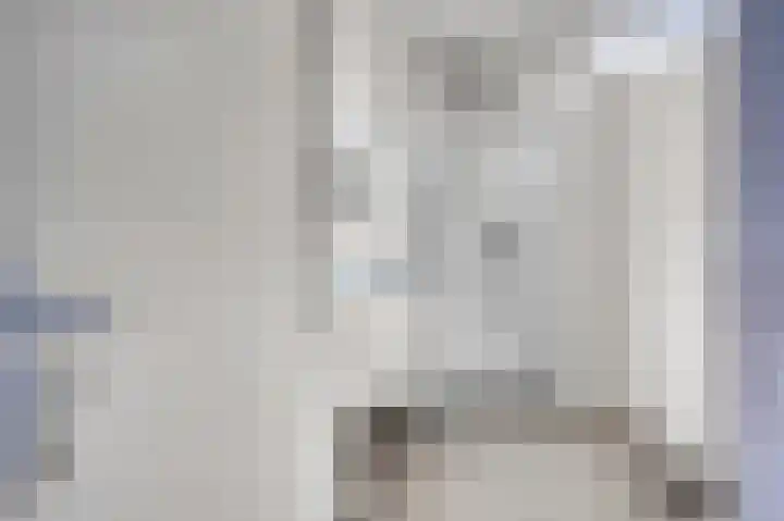 Woestijnvalk 16 Valkenburg thumbnail 18