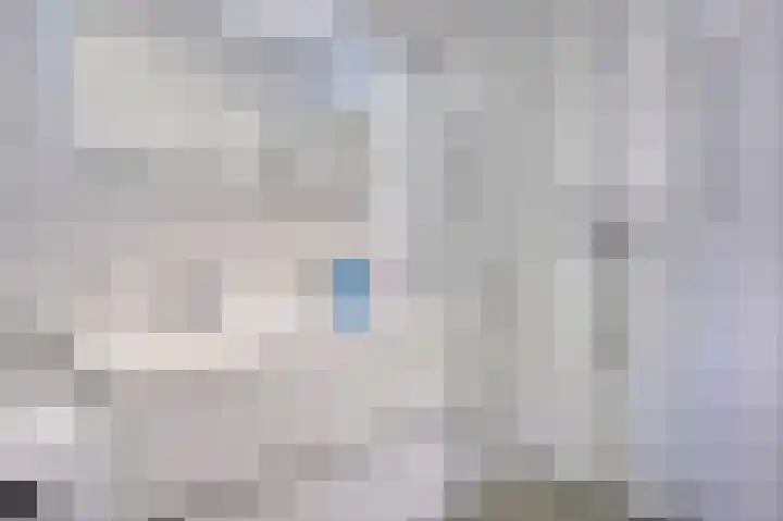 Woestijnvalk 16 Valkenburg thumbnail 20