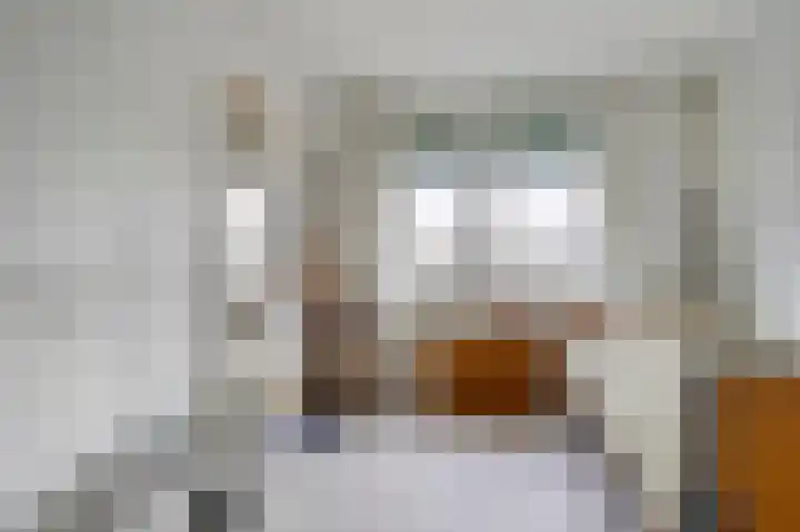 Woestijnvalk 16 Valkenburg thumbnail 21