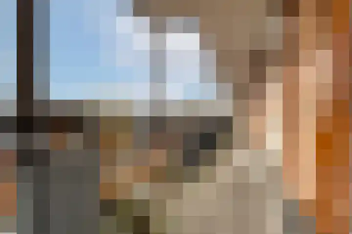 Woestijnvalk 16 Valkenburg thumbnail 25