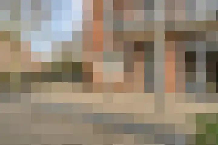 Woestijnvalk 16 Valkenburg thumbnail 27
