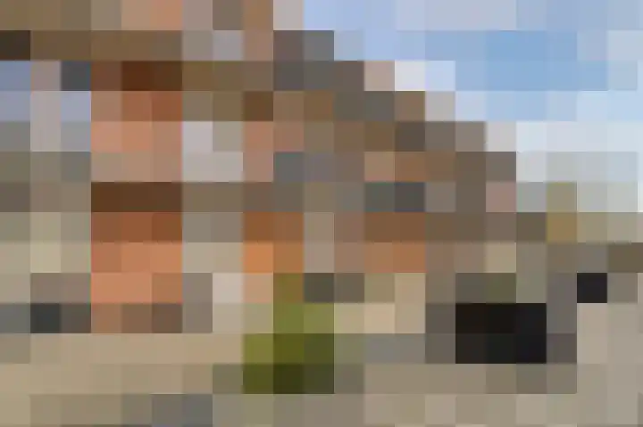 Woestijnvalk 16 Valkenburg thumbnail 28