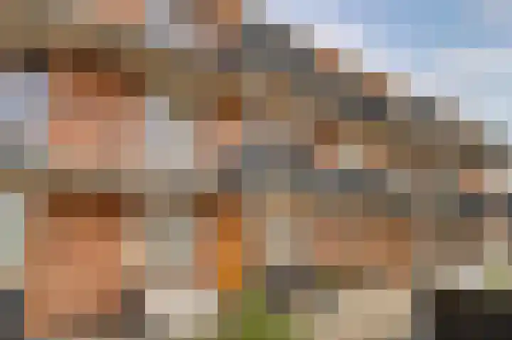 Woestijnvalk 16 Valkenburg thumbnail 29