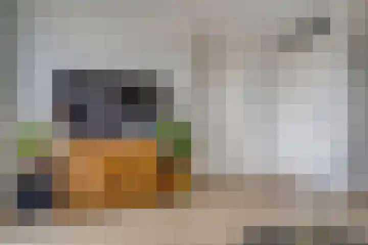 Woestijnvalk 16 Valkenburg thumbnail 9