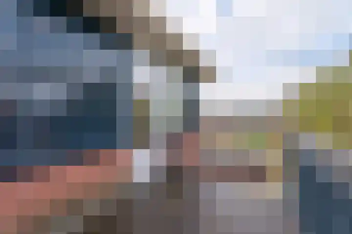 Woestijnvalk 22 Valkenburg thumbnail 11